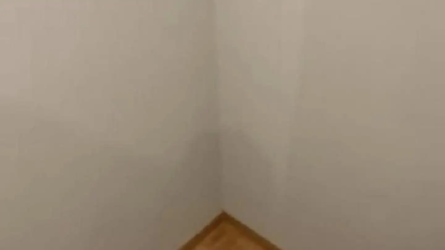 Wohnung mieten - 1202 Genève - Foto 3