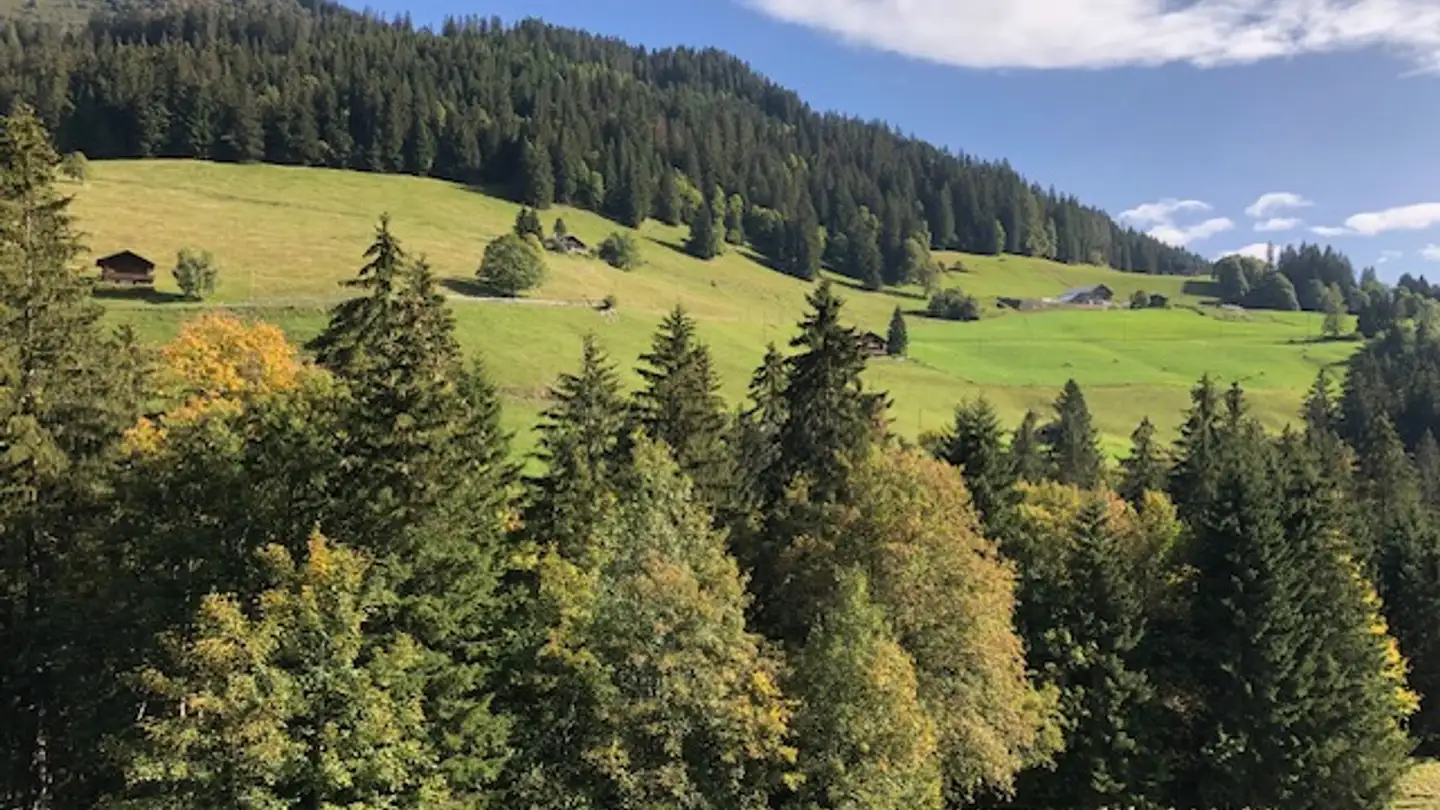 Casa singola in vendita - Les Mosses, 1862 Les Mosses - Photo 3