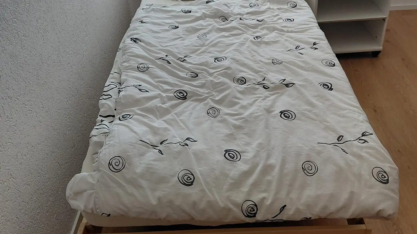 Single room for rent - Bitziring 6, 9220 Bischofszell - Photo 2