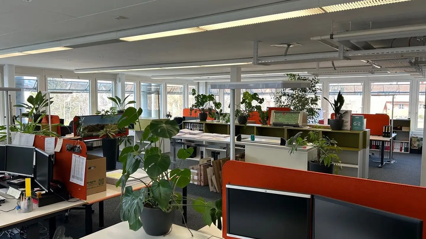 Bürofläche mieten - Luppmenstrasse 3, 8320 Fehraltorf - Foto 2