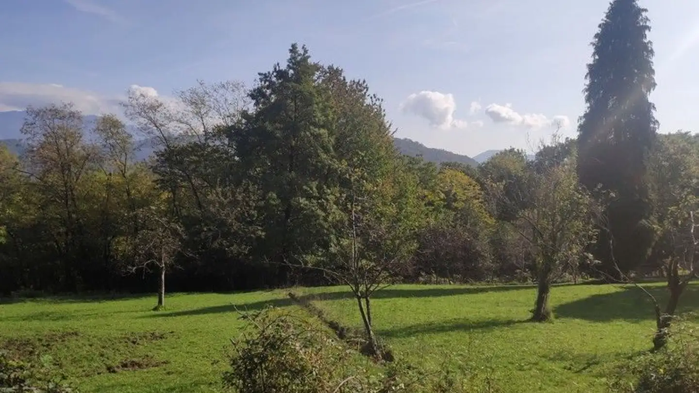 Farm for sale - Via Mistomi, 6984 Pura