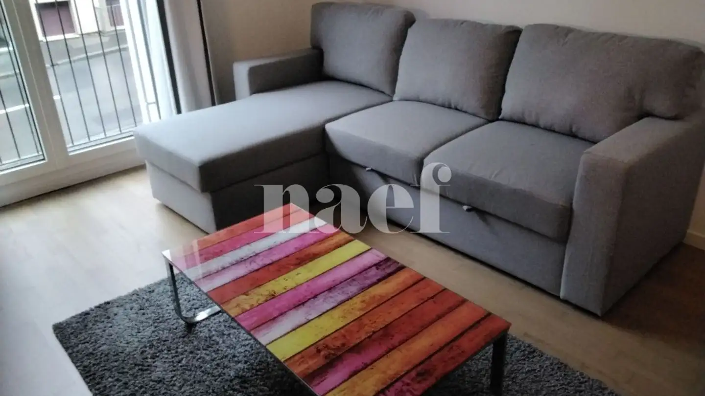 Studio à louer - Chemin De Boissonnet, 1010 Lausanne - Photo 4