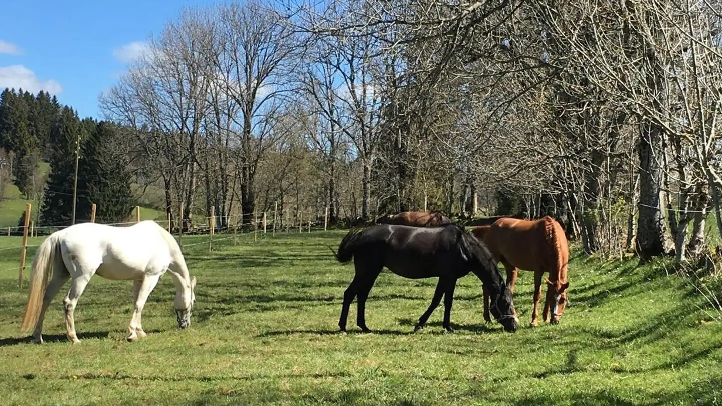 Ferme à vendre - 2333 La Ferrière