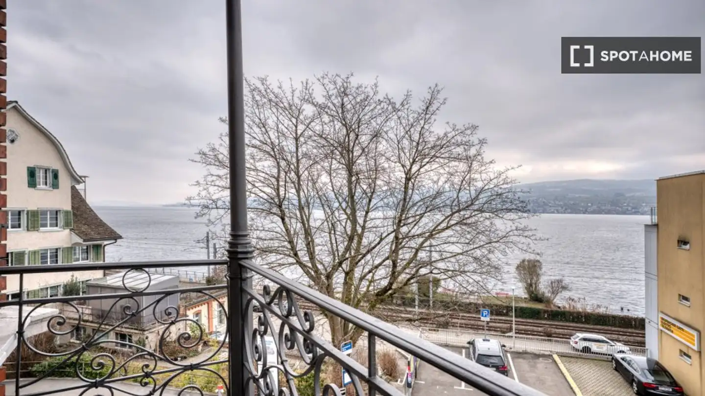 Appartamento in affitto - 8810 Horgen - Photo 4