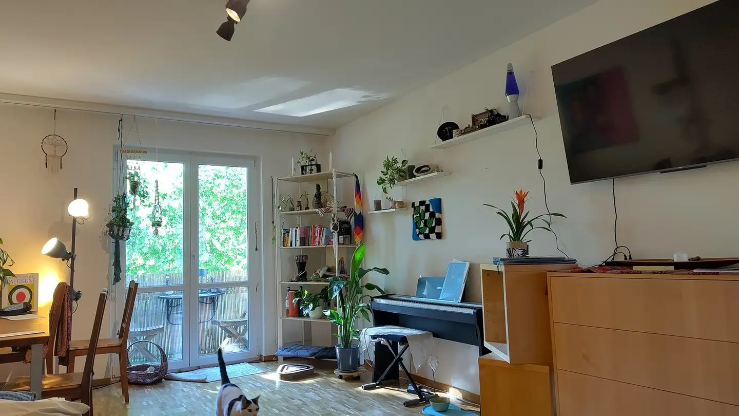 Single room for rent - 8004 Zürich