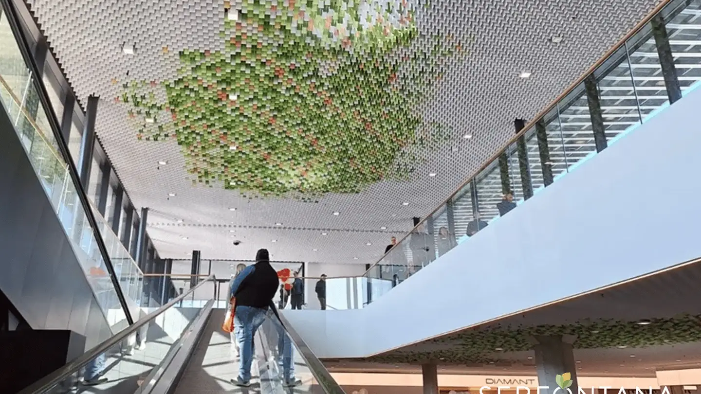 Negozio in affitto - Viale Serfontana 20, 6834 Morbio Inferiore - Foto 3