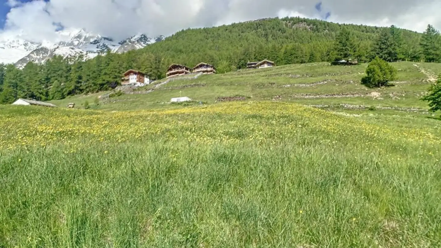Terreno edificabile in vendita - 3906 Saas-Fee - Foto 3