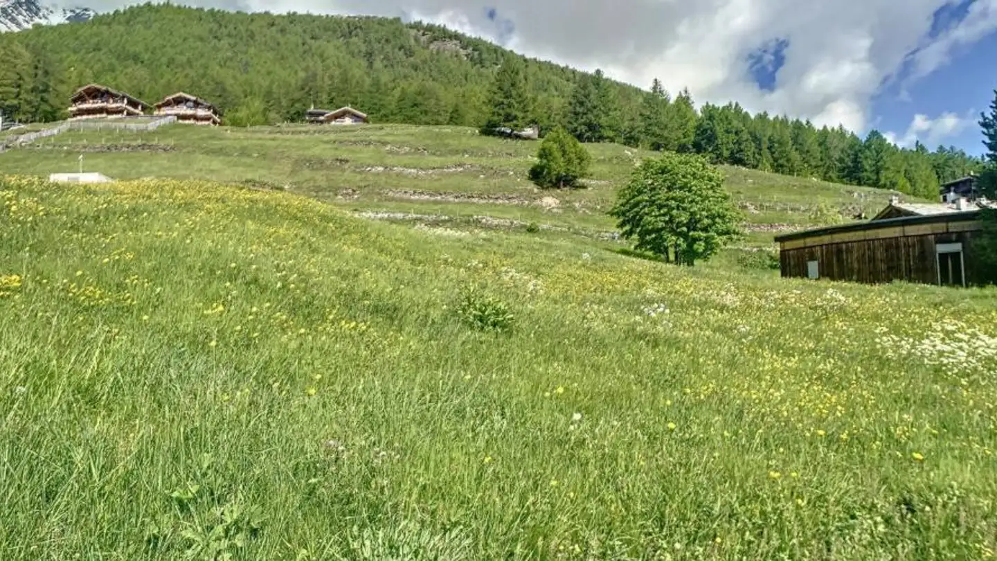Terreno edificabile in vendita - 3906 Saas-Fee - Foto 4