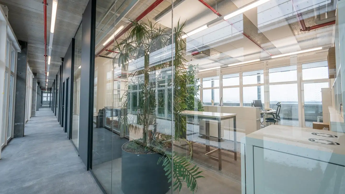 Spazio ufficio in affitto - Eichengasse 3, 4702 Oensingen