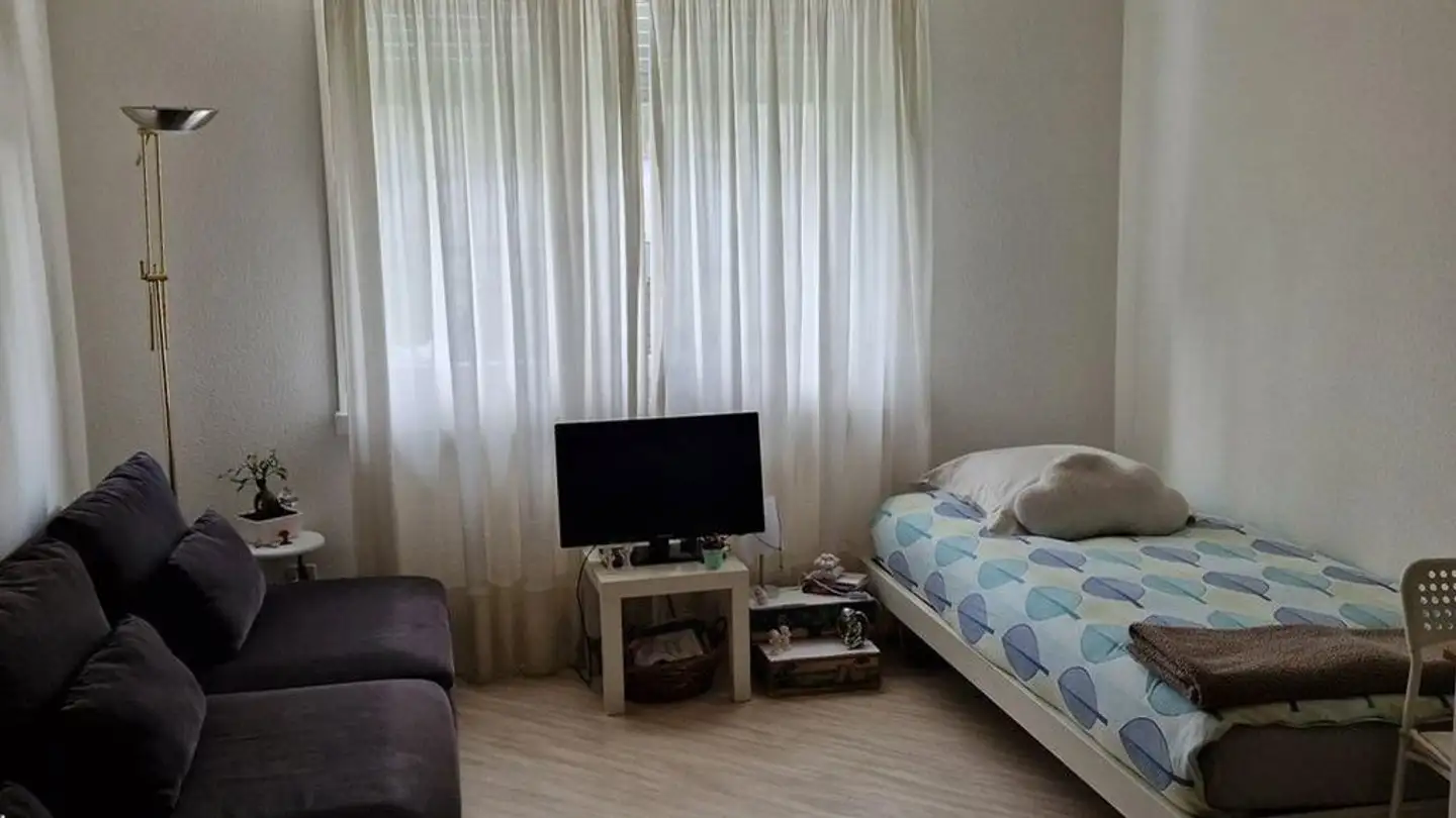 Studio for rent - Schwyzerstrasse 10, 8805 Richterswil - Photo 3