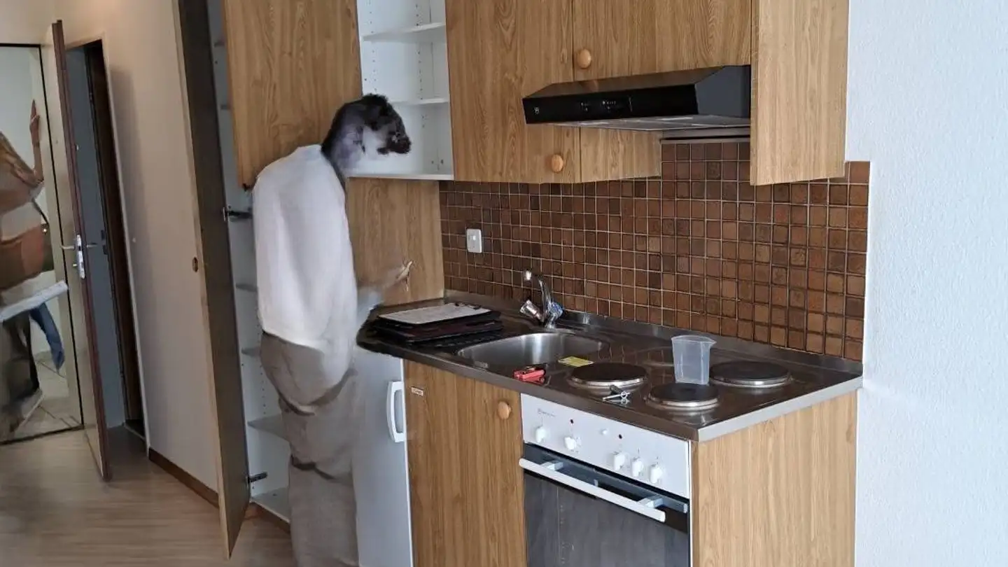 Studio for rent - Schwyzerstrasse 10, 8805 Richterswil - Photo 4