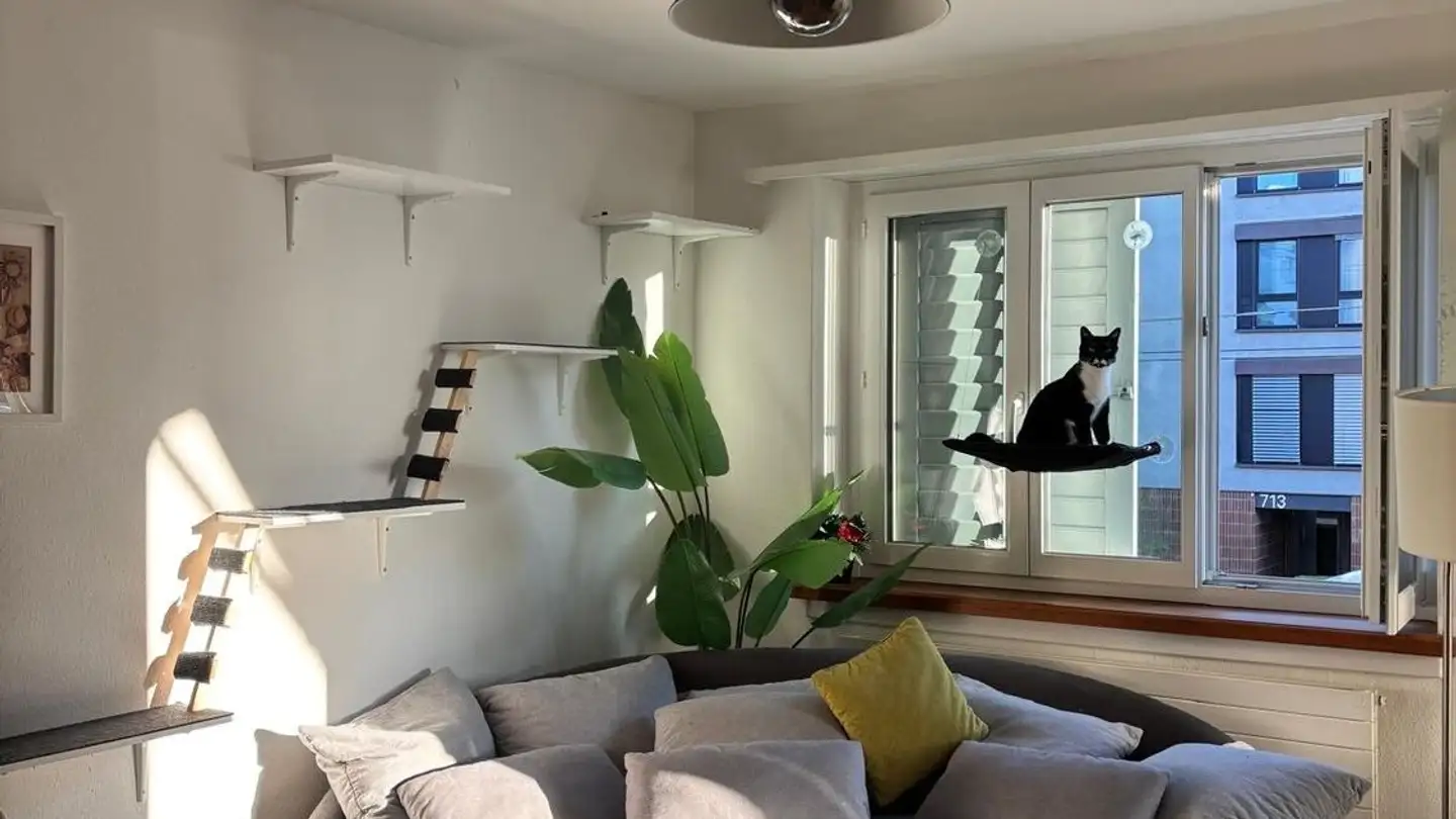 Wohnung mieten - 8048 Zürich