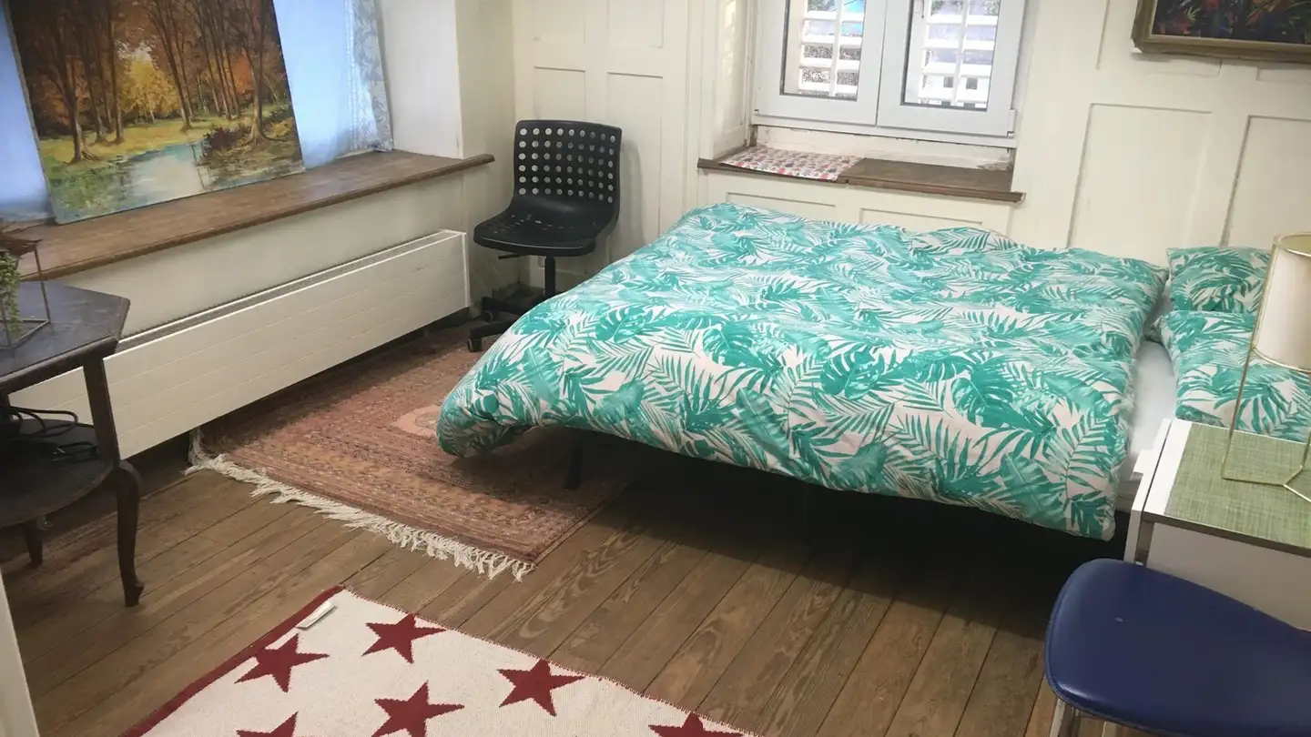 Stanza singola in affitto - 8008 Zürich