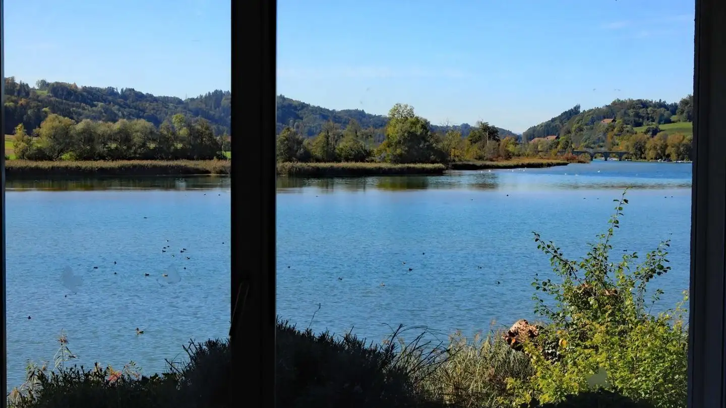 Studio in affitto - Inselrain 14, 3032 Hinterkappelen