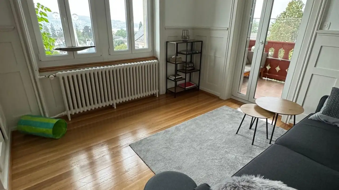 Appartement à louer - Tiergartenstrasse 18, 8802 Kilchberg ZH