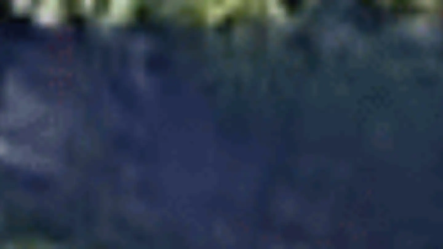 Wohnung mieten - Lärchenstrasse 37, 4142 Münchenstein - Foto 3