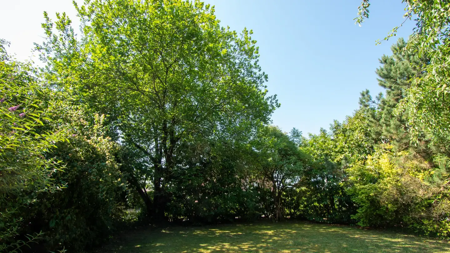 Einfamilienhaus kaufen - Seestrandweg, 3235 Erlach - Foto 4