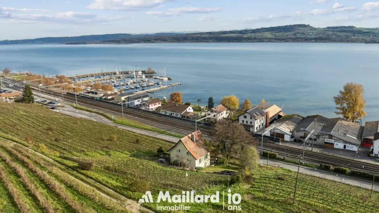 Maison individuelle à vendre - Avenue De La Gare 24, 1422 Grandson