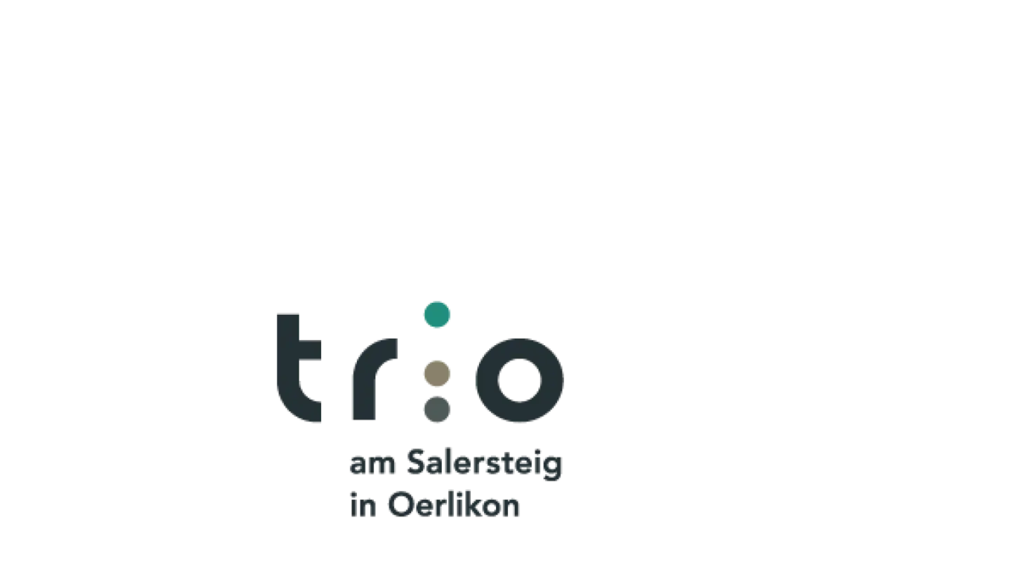 Magasin à louer - Schaffhauserstrasse, 8050 Zürich - Photo 4