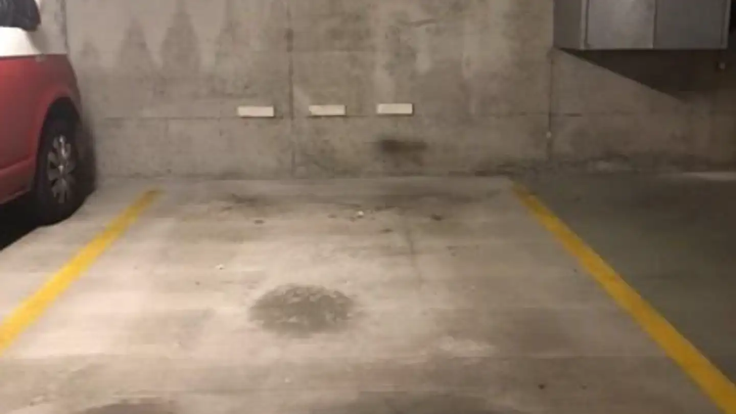 Garage singolo in affitto - Im Tiergarten 49, 8055 Zürich