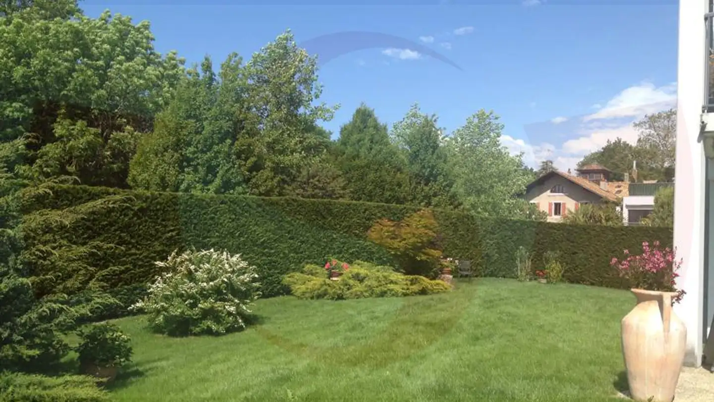 Row house for rent - 1231 Conches - Photo 3