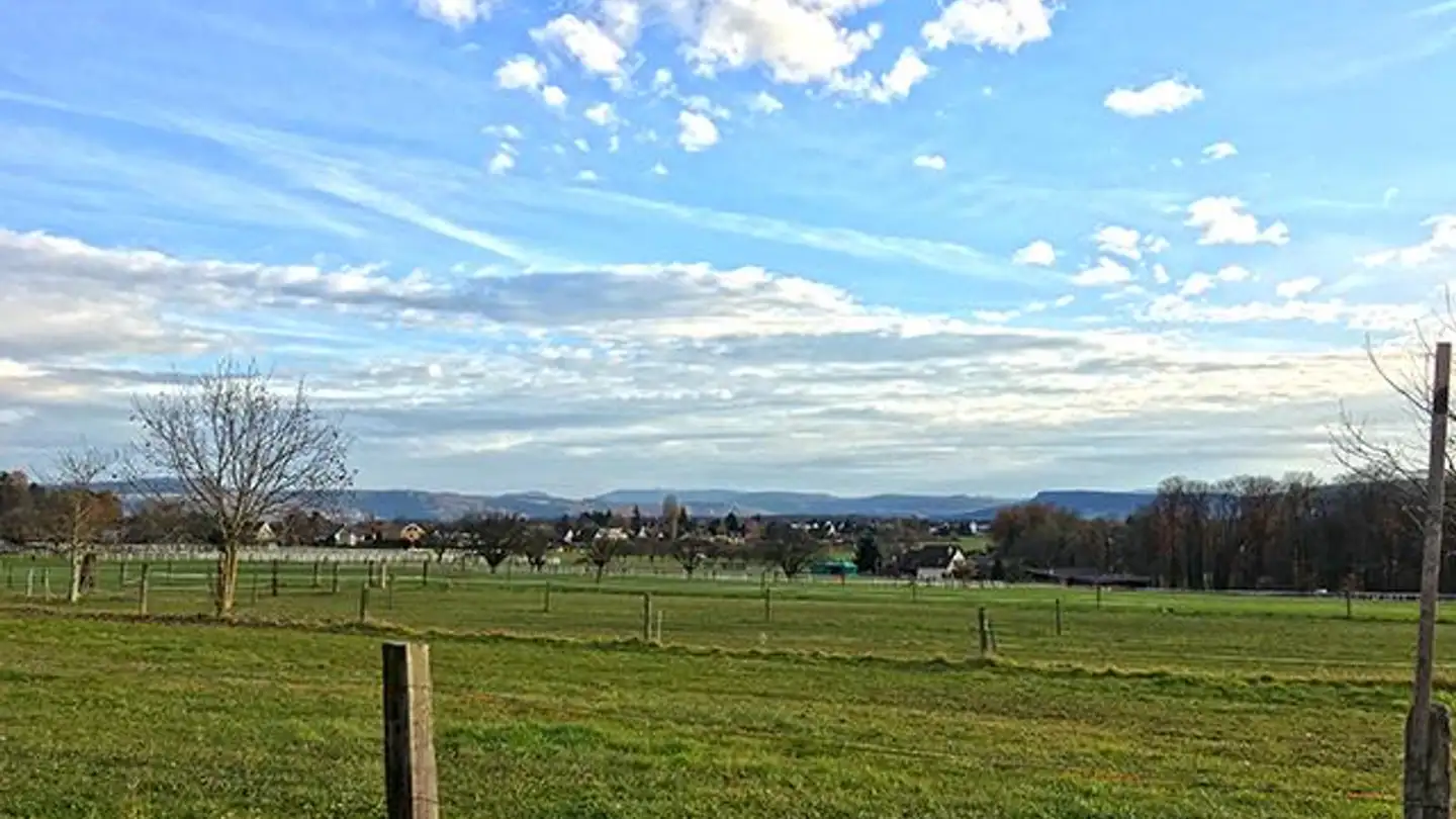 Einfamilienhaus kaufen - 4102 Binningen - Foto 2