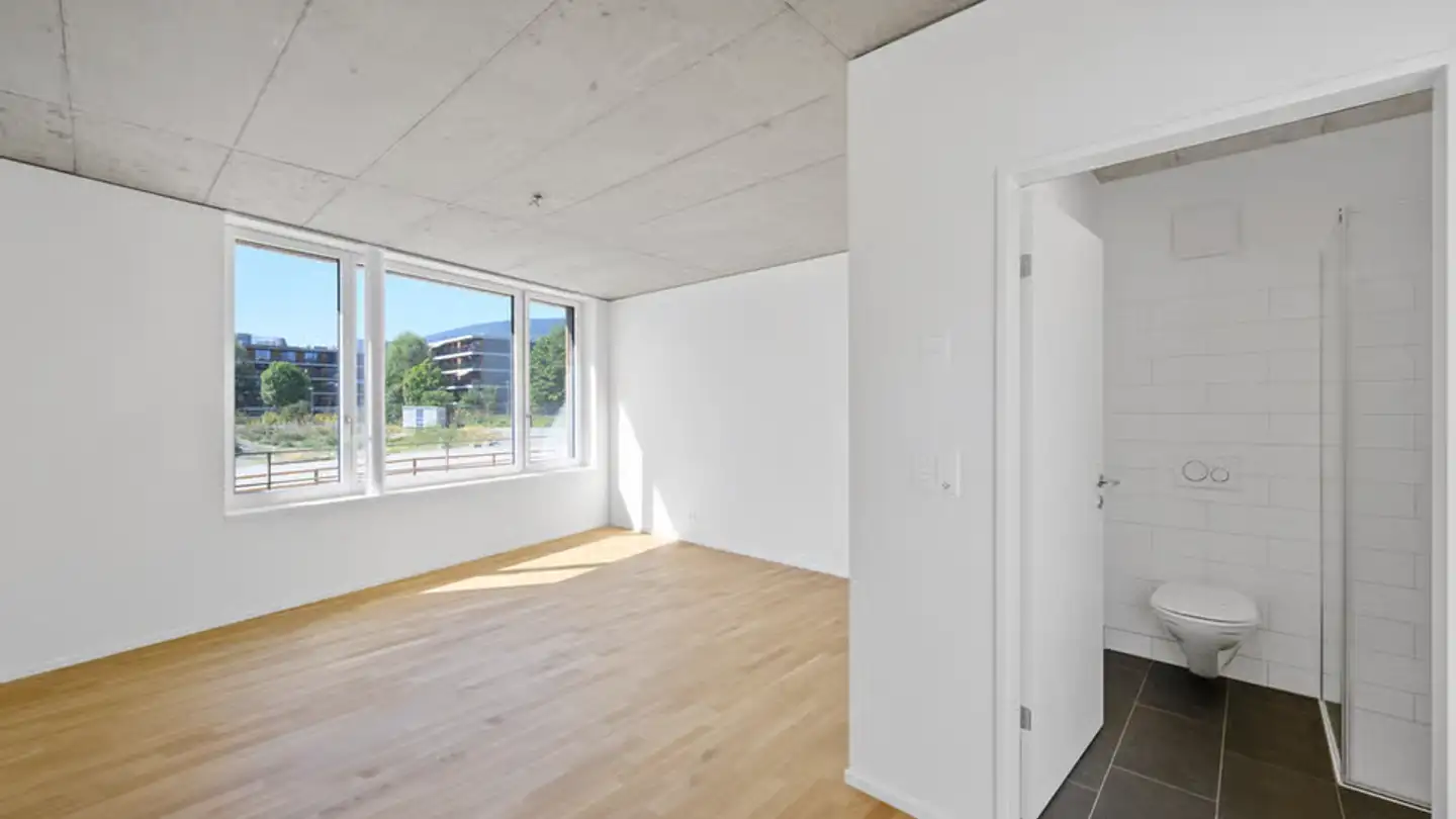 Appartement à louer - Rue Des Cygnes / Schwanengasse 11, 2503 Biel/Bienne