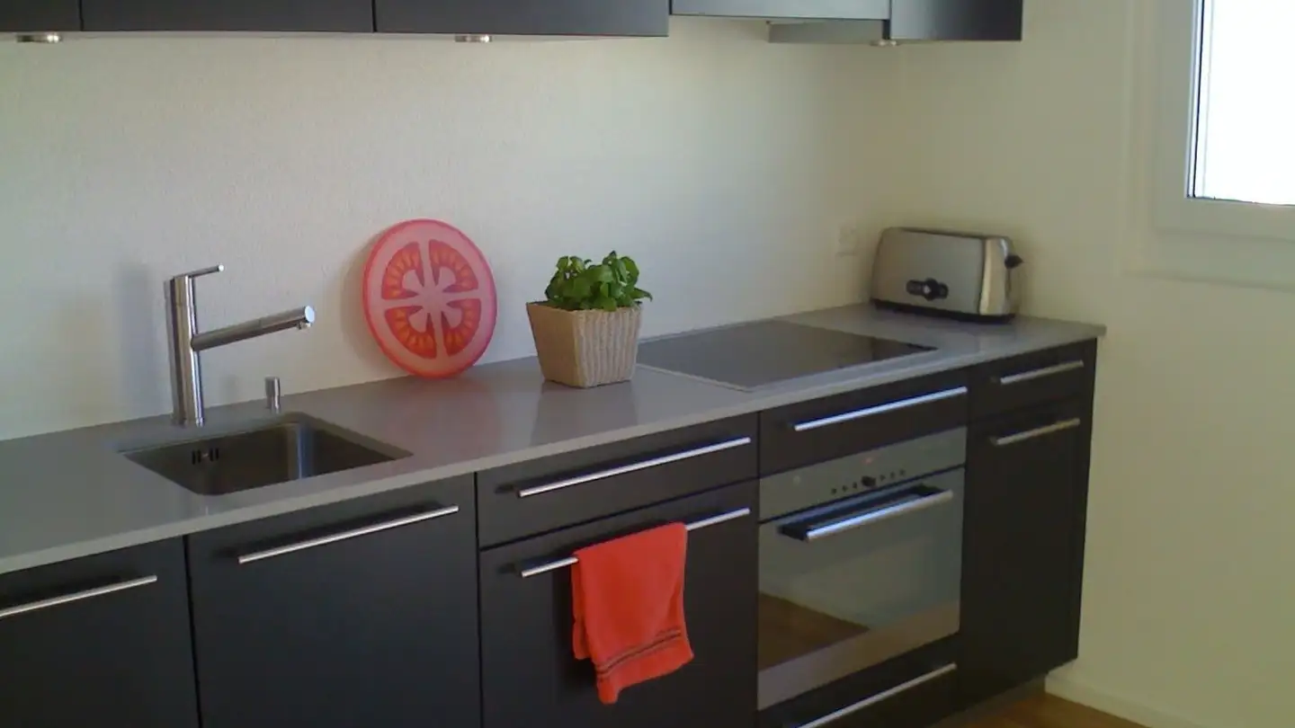 Möblierte Wohnung mieten - Zipfelweg, 8134 Adliswil - Foto 2
