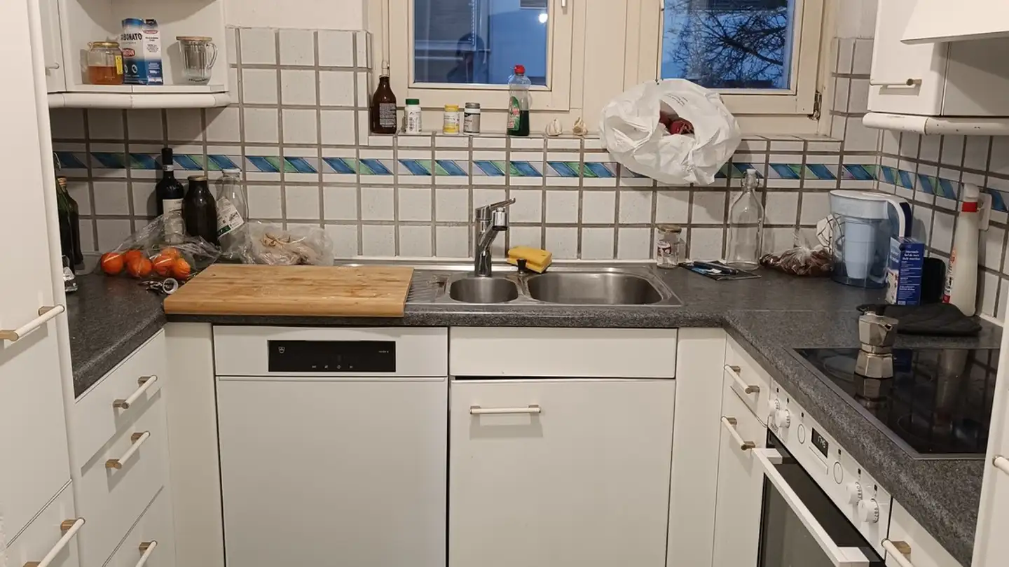 Appartement à louer - Glatttalstrasse 88, 8052 Zürich - Photo 4