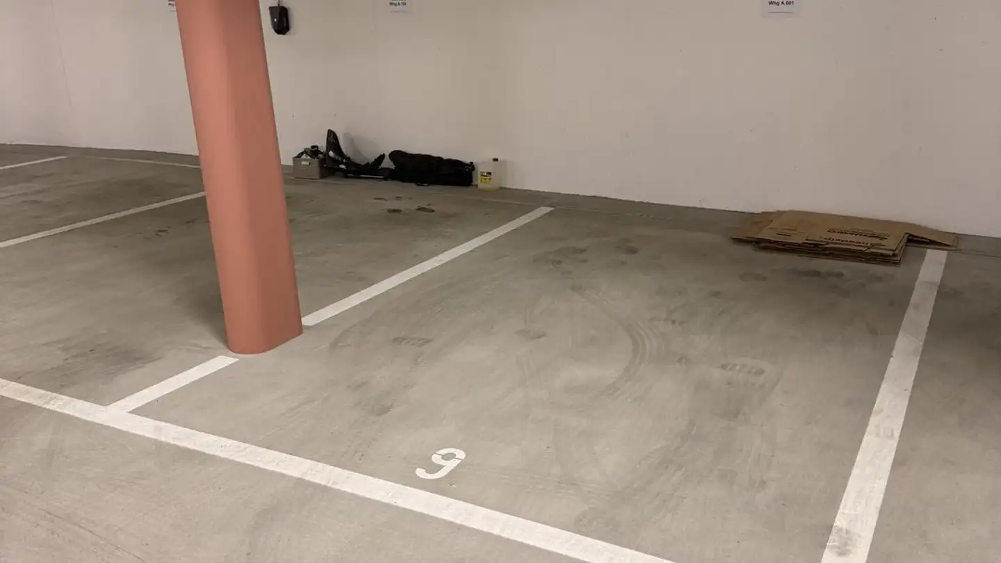 Outdoor parking space for rent - Riedstrasse 11, 8352 Elsau