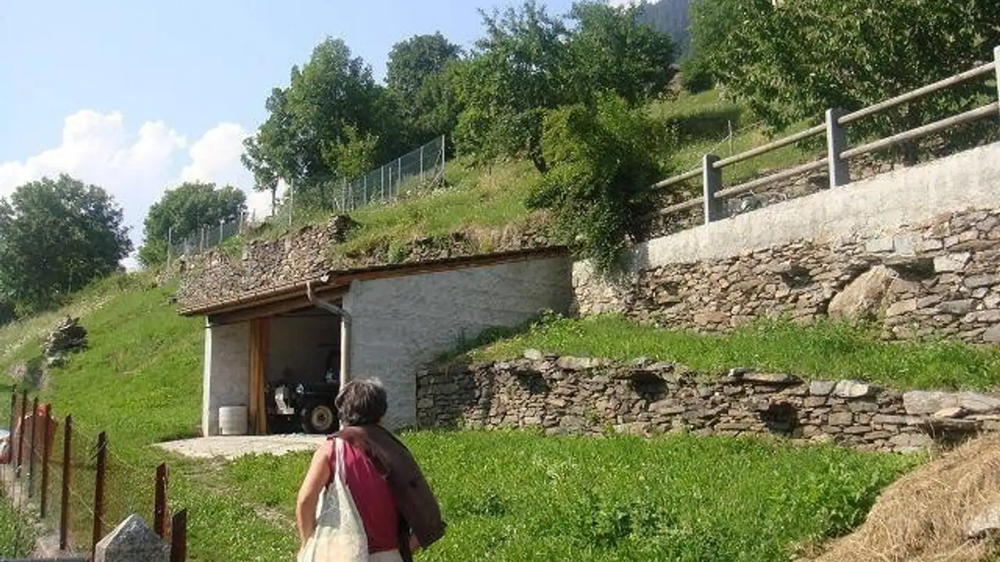 Constructible plot for sale - 6748 Anzonico - Photo 3