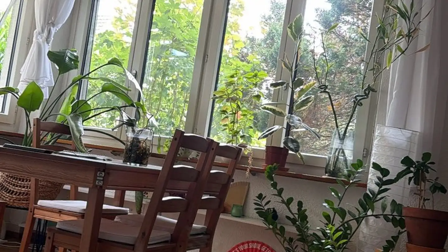 Wohnung mieten - Scheideggstrasse, 8038 Zürich