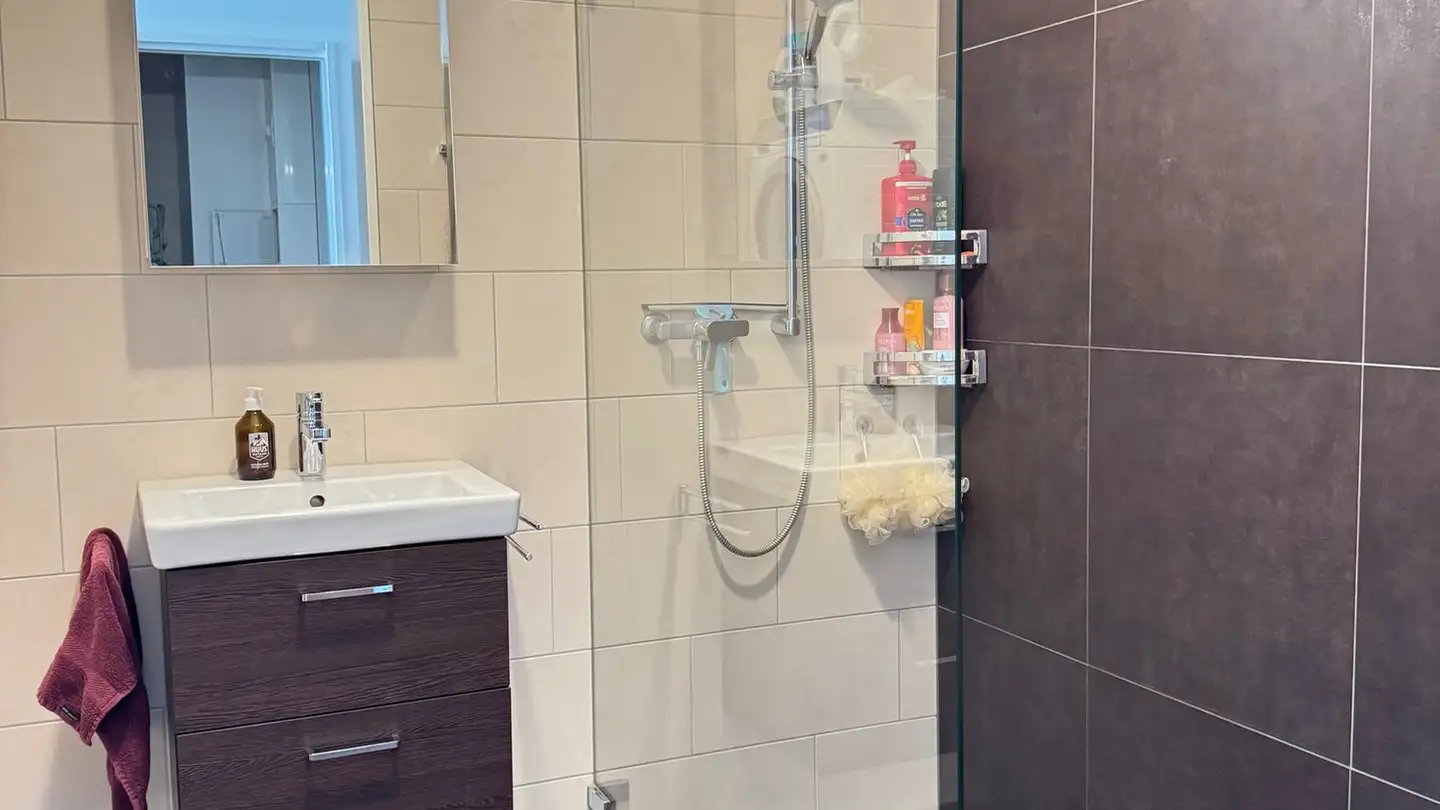 Apartment for rent - Poststrasse 7, 8853 Lachen SZ - Photo 4