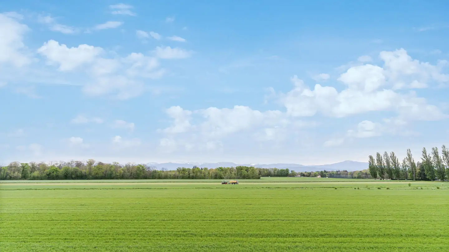 Bürofläche mieten - Route Des Avouillons, 1196 Gland - Foto 2