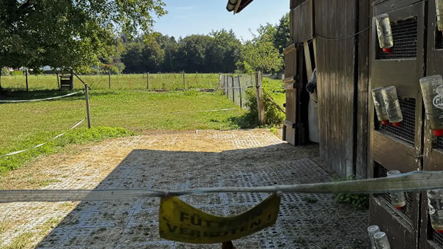 Landwirtschaftsbetrieb mieten - Wolfwilerstrasse 15, 4629 Fulenbach - Foto 3