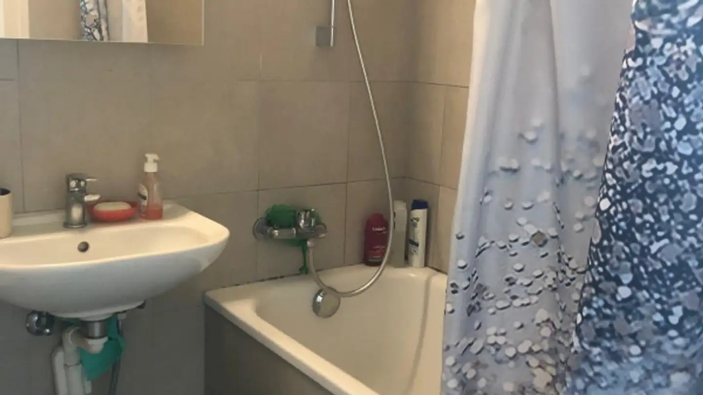 Appartement à louer - Route Du Grand-Lancy, 1212 Grand-Lancy - Photo 3