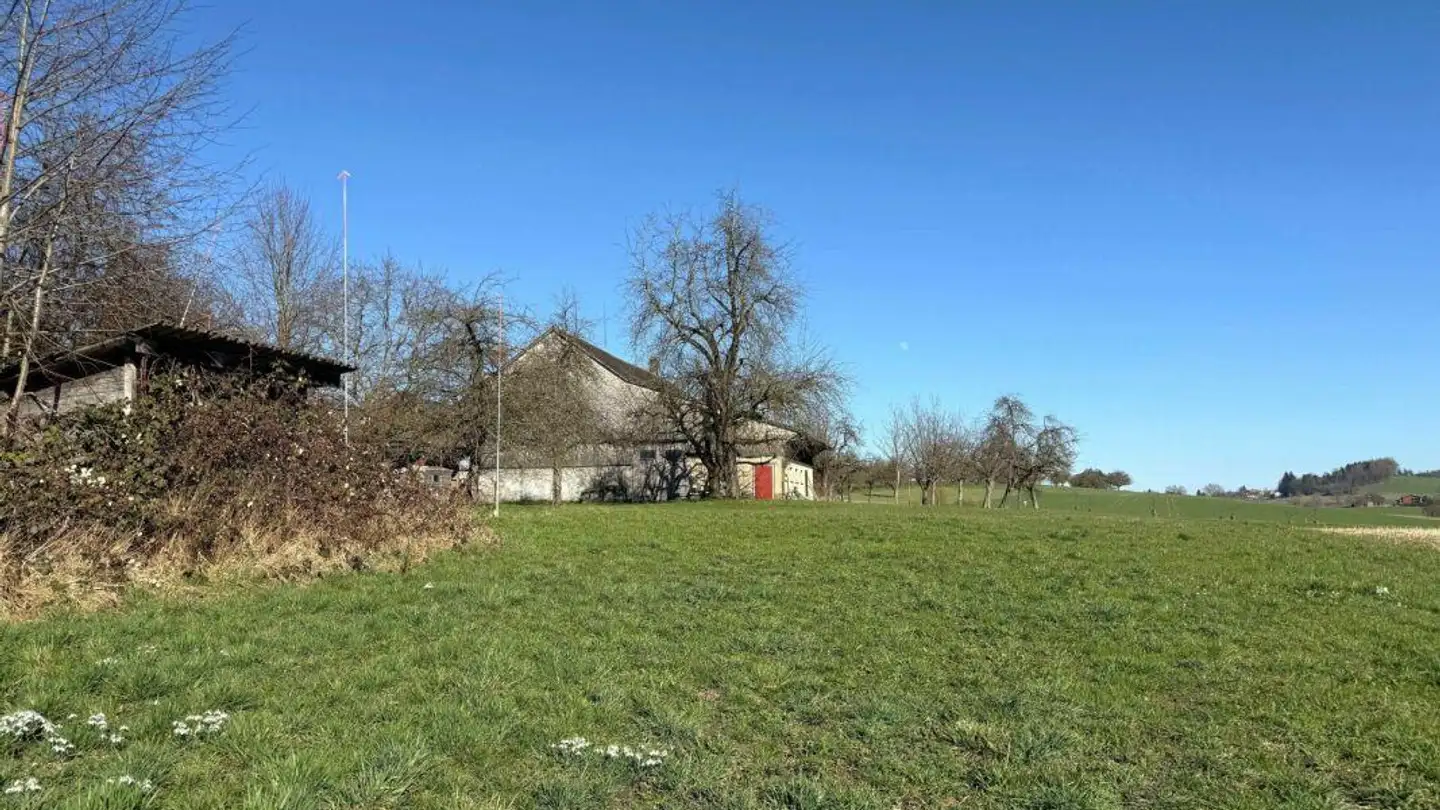 Appartement à vendre - Unterdorf, 9562 Buch b. Märwil - Photo 4