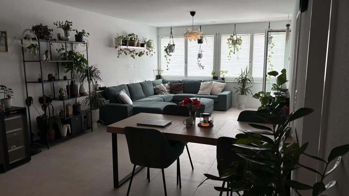 Appartamento in affitto - 5400 Baden