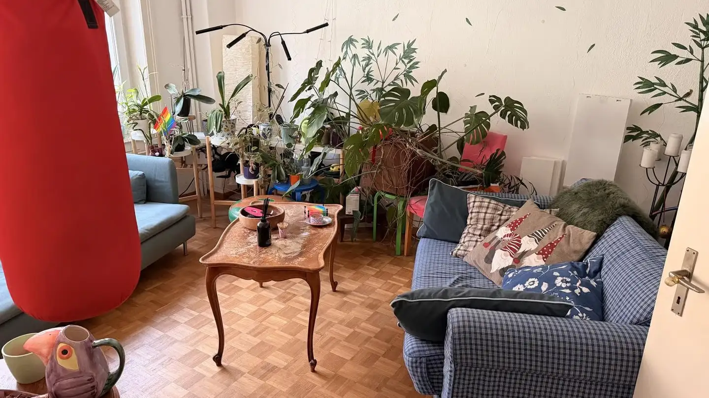 Appartement à louer - Rotwandstrasse 70, 8004 Zürich