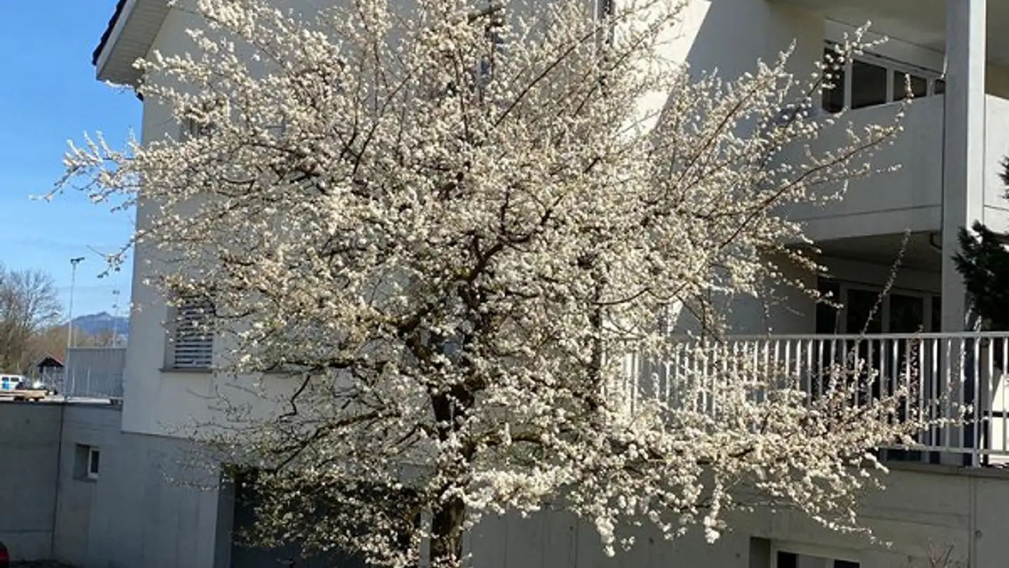 Appartamento in affitto - Mittelfeldstrasse 11, 9444 Diepoldsau - Foto 2