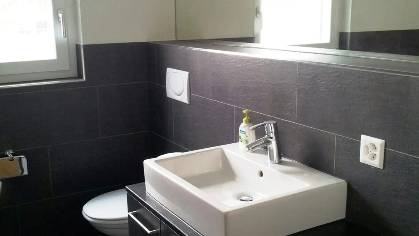 Appartamento in affitto - Wulikerstrasse 6, 8903 Birmensdorf ZH - Foto 3