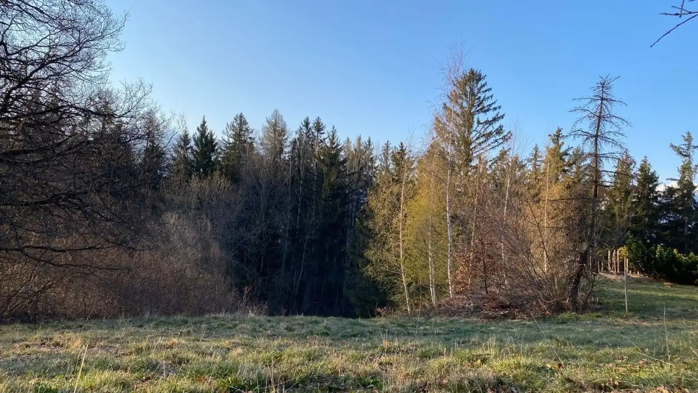 Constructible plot for sale - 1974 Arbaz - Photo 2