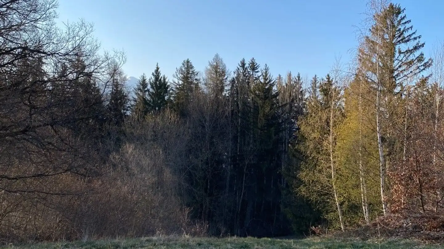 Constructible plot for sale - 1974 Arbaz - Photo 4