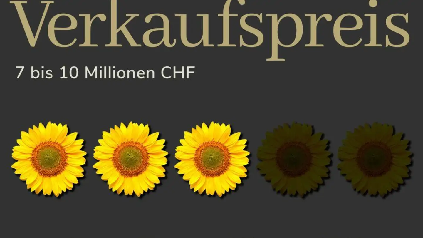 Einfamilienhaus kaufen - 8142 Uitikon Waldegg - Foto 2