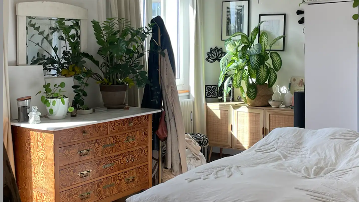 Wohnung mieten - 8037 Zürich