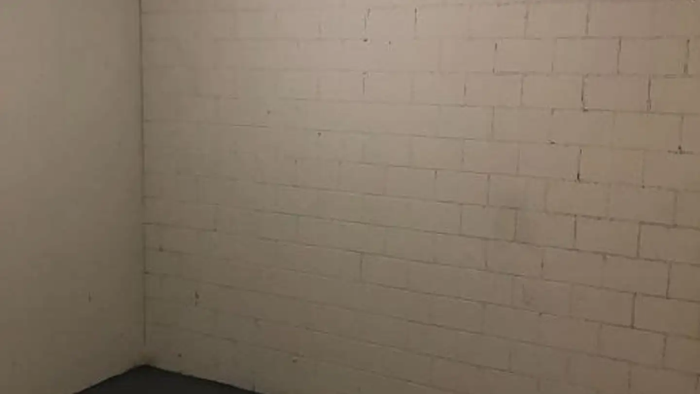 Laboratorio in affitto - Baumgartenstrasse 5, 8880 Walenstadt - Photo 2