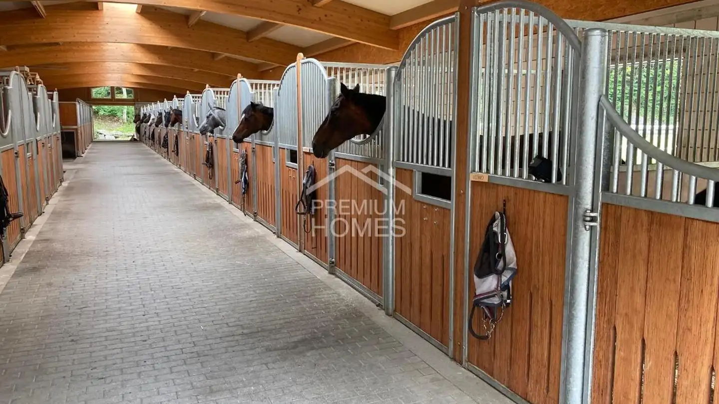 Casa grotta in vendita - 3600 Thun - Photo 4