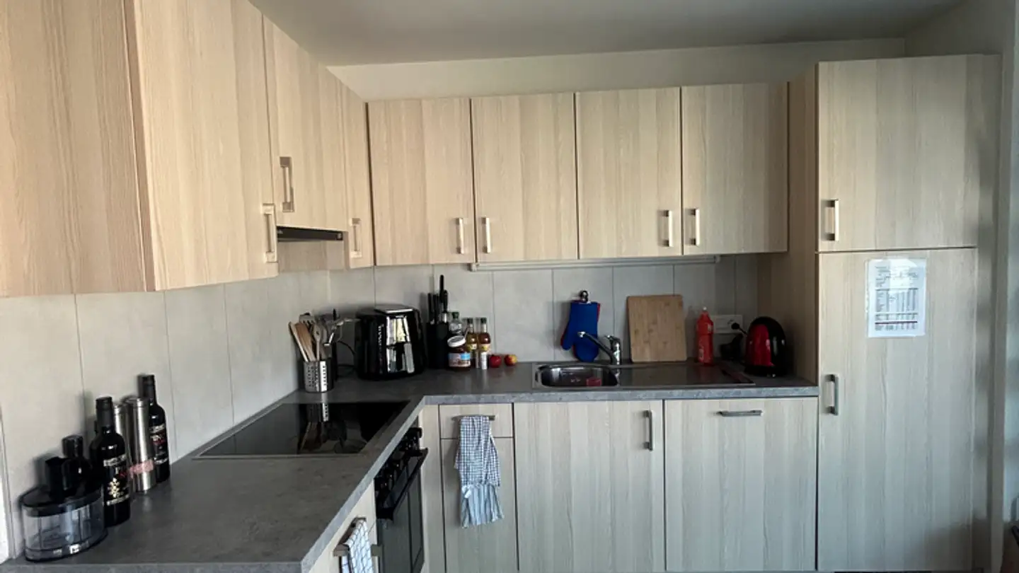 Appartamento in affitto - Chemin De Maillefer 14, 1018 Lausanne - Foto 2