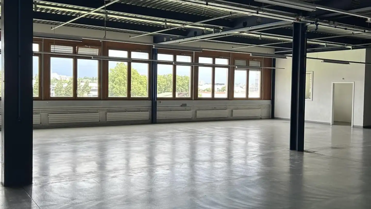 Commerciale in affitto - 1227 Carouge GE - Foto 4