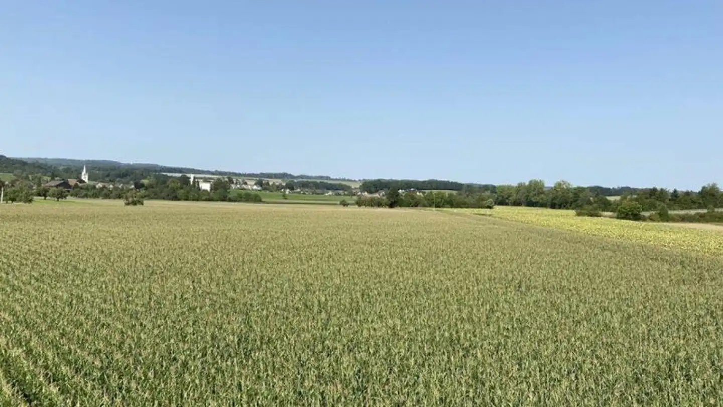 Casa singola in vendita - Haslistrasse, 8555 Müllheim Dorf - Foto 4